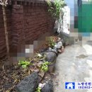 노량진2동주민센터 화장실 이미지