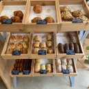 어라이크 | 서울 연희동 어라이크 베이커리 카페 추천🥐🥖