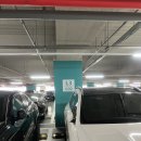 킹 | 인천 파티 호텔 리조트 추천 : 인스파이어 "포레스트 스위트킹" 후기