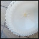 듀오디테일링 이미지