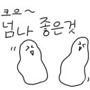 화진포모모아