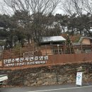 소백산자연휴양림 | 겨울여행) 소백산 자연휴양림 숲속의집 후기 - 가족여행 숙소 추천/근교 갈만한 곳
