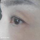 유니나 | 창원 속눈썹펌 잘하는 유니나뷰티&amp;도트