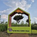 한강시민공원 백합나무길 화장실 앞 | 구리한강 시민공원의 만개 중인 &#39;코스모스&#39;