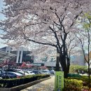 노원구청(장애인복지과) 이미지