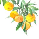 소문난떡방앗간 이미지