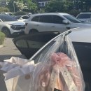 청가담