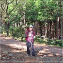 ▣ 부산:- 영도 봉래산(395M) 부부초대 둘레길...삼나무숲속 비박 이미지