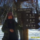 미도다방 Daum카페