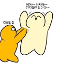 금강컴퍼니 이미지