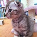 푸른동물병원 이미지