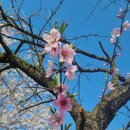 아쿠아좌대낚시터 이미지