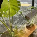 마포관광농원 이미지