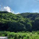 고든골천 이미지