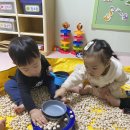 편백향기