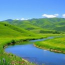 순천-55호 이미지