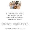 돼지머리족발집 중국식 | [2025.08] 안녕... 내 인생 마지막 여름 방학 (졸유생일상)