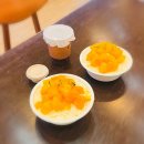 파주시장애인단체연합회 | 파주 헤이리 카페 애플망고 빙수 맛집 짹짹곳간 반려동물 동반 가능 포장 후기