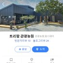 트리팜 관광농원 이미지