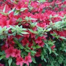 서울신계초등학교 이미지