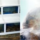 추섬 활어회 식당 이미지