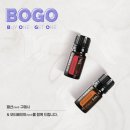 아로마패션 이미지