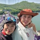 장미화실 | 단양 가볼만한곳 추천｜잔도길·스카이워크·장미터널 하루 코스 후기