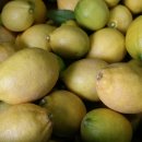 삼화농장2 이미지