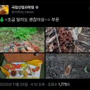 국립산림과학원 2 | 홍릉숲 국립산림과학원🍤새우튀김 자랑대회에 선정된 후기 (feat. 동구밭 리포레스트 인센스)