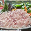 대포동산횟집 이미지