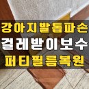 씨유 양주광적중앙 | 강아지발톱 파손 걸레받이 퍼티필름 보수_인천