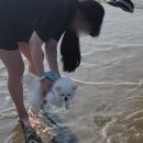 펜션] 춘장대 해수욕장 근처 조용하고 분위기 좋은 바베큐 가능한 단체펜션 &#39;솔마루펜션&#39; - 가족여행 후기