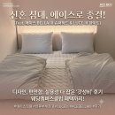 Luce | 신혼부부 침대 추천 | 혼수준비로 선택한 에이스침대 ACE BELLA ||| 슈퍼 하드 + LUCE ||| 구입 후기