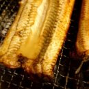 황토장어 이미지