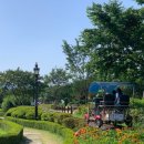 곡성-224 이미지