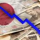 개미종합상사 이미지