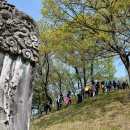 영원부원군묘 이미지