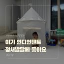 텐트 - 중구 수표로6길 31 | 유아 캠핑놀이하기 좋은 아기 인디어텐트 후기