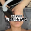 살롱드비숑송정점