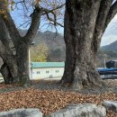 진악산오토캠핑장 이미지