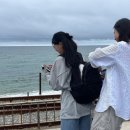 이스트웨이브 이미지
