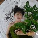 문화공간 예술텃밭 텃밭극장 이미지