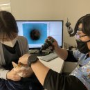 파랑새동물병원 이미지