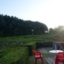 (주)배나무골 이미지