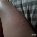 학교식품 이미지