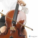 첼로 1:1 맞춤레슨 이미지
