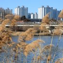 전주이씨 상원군 이세령가문 충신열녀정려편액 이미지