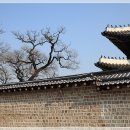담 이미지