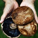 밤에 먹어야 맛있는집 이미지