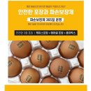 주식회사 푸드코리아